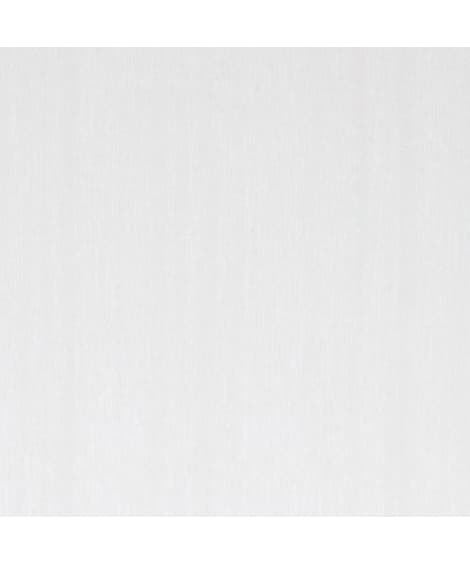【１cm単位オーダー】収納ラック（奥行19cm／タフタイプ） シェルフ・ラックの商品画像
