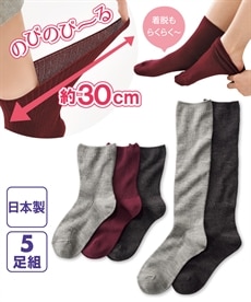 日本製足口のびる靴下5足組（ハイソ2足＋クルー3足）