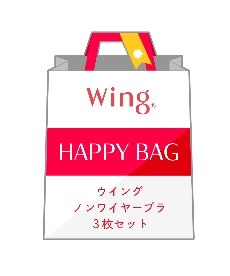 【Wing / Wacoal　ウイング/ワコール】おまかせ福袋　ノンワイヤーブラ3枚セット　MB9840